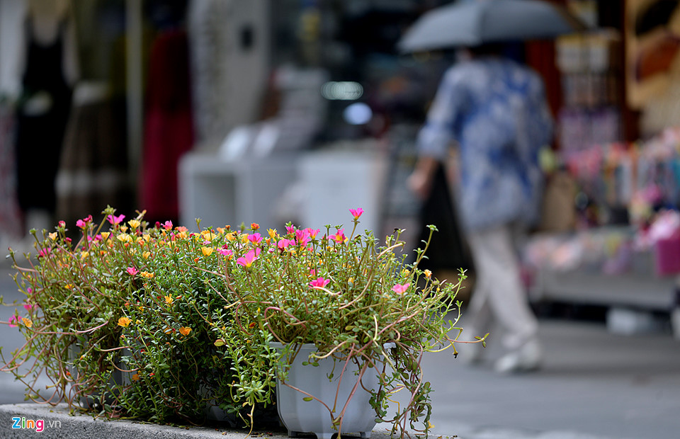 Phố đi bộ Insadong Seoul